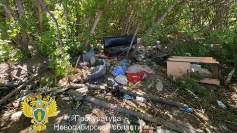 С берега Ельцовки вывезли 20 тонн мусора после проверки новосибирской прокуратуры