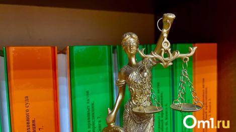 В Омске 20-летнему курьеру грозит срок за попытку заработать на старушках