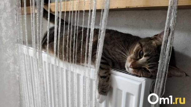 В Новосибирске начался второй этап подключения отопления