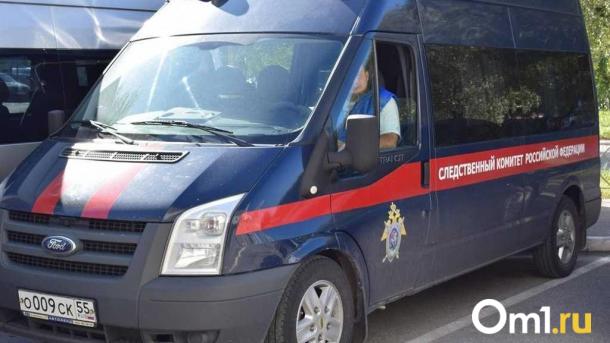 Пытался увести в подъезд: в Омске ищут свидетелей инцидента с похищением ребёнка
