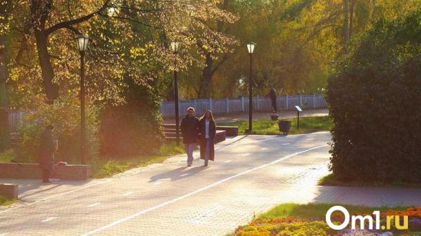 Почти летняя жара: на этой неделе в Омской области ожидается аномальная погода