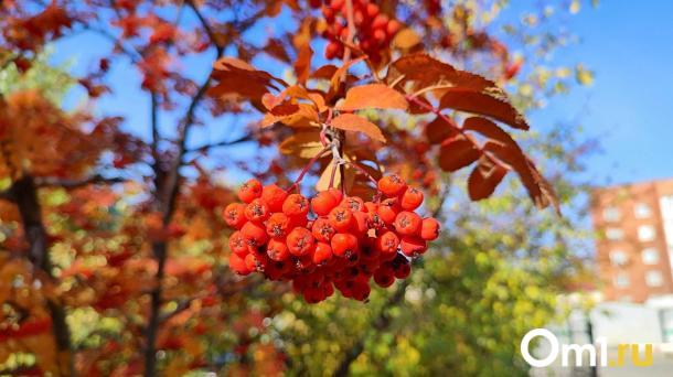23 сентября: приметы и традиции Дня Петра и Павла Рябинников