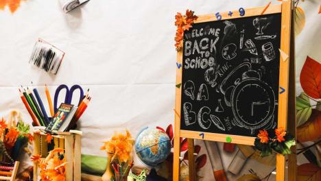 Названы самые востребованные направления дополнительного образования в Новосибирске