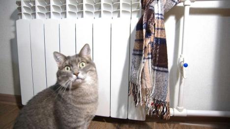 В Новосибирске подключили отопление в 27 % многоквартирных домов