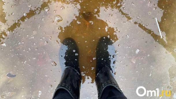 В Омской области не осталось подтопленных домов