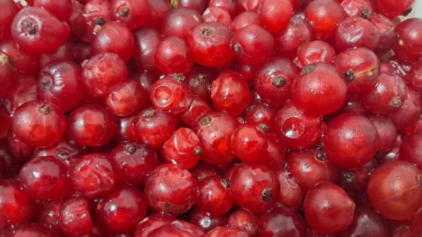 Супер-ягода в вашем холодильнике — без нее зимний рацион не будет полноценным