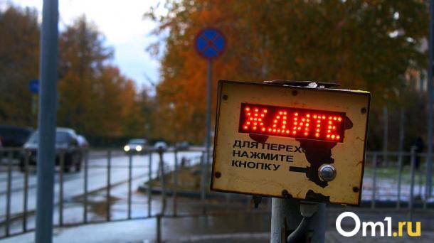 В Омске ожидается резкий поворот погоды: снег выпадет уже на следующей неделе