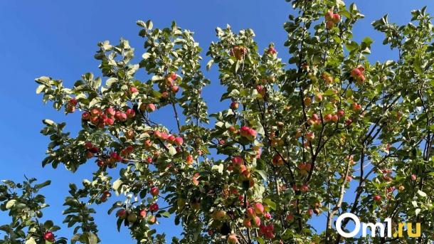 Не мойте голову – «смоете» удачу: приметы и традиции 24 сентября