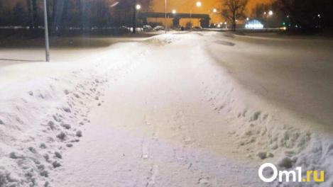 Девочку задушили её же ремнём. Почему после жестокого убийства школьницы проверили 25 тысяч мужчин