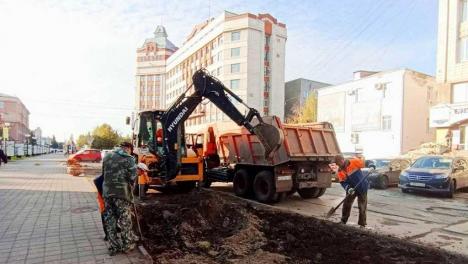 В Омске обновляют аллею Строителей: что изменится?