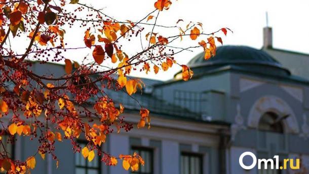 Резкое похолодание придёт на смену жаре в Омской области