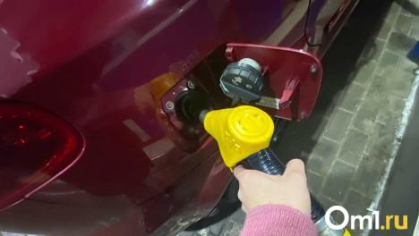 В Омске сразу на нескольких АЗС выросли цены на бензин