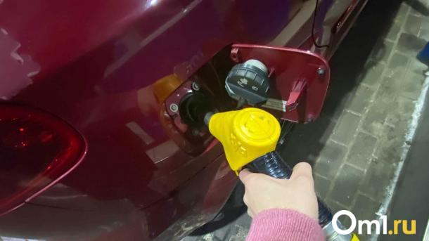 В Омске сразу на нескольких АЗС выросли цены на бензин