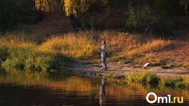 В Омской области поймали девятикилограммового гиганта