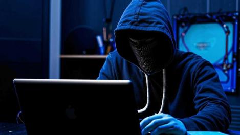 Каждый пятый новосибирец назвал IT-специалистов самой престижной профессией