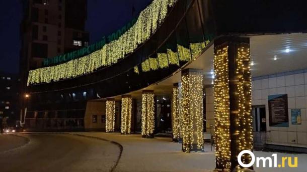 Новосибирский зоопарк предупредил помогающих после пожара о мошенниках