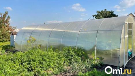 От 5 до 15 тысяч: за что могут оштрафовать омских дачников осенью