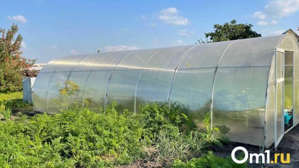 От 5 до 15 тысяч: за что могут оштрафовать омских дачников осенью