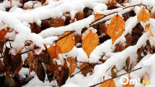 Синоптики прогнозируют первый снег в конце сентября в Новосибирске