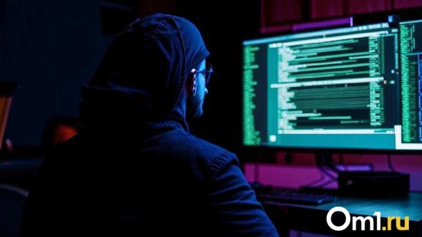 Провокационные и незаконные товары нашли на маркетплейсах в Новосибирске