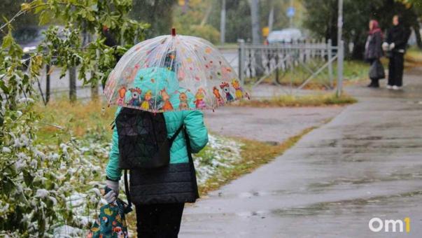 Резкое похолодание до минусовых отметок накроет Омск в последние дни сентября