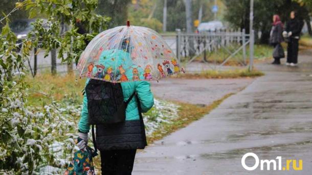 Резкое похолодание до минусовых отметок накроет Омск в последние дни сентября