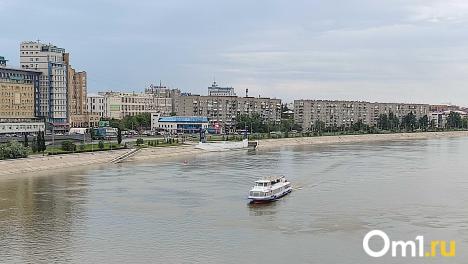 Эксперты предложили создать цифровой двойник Иртыша