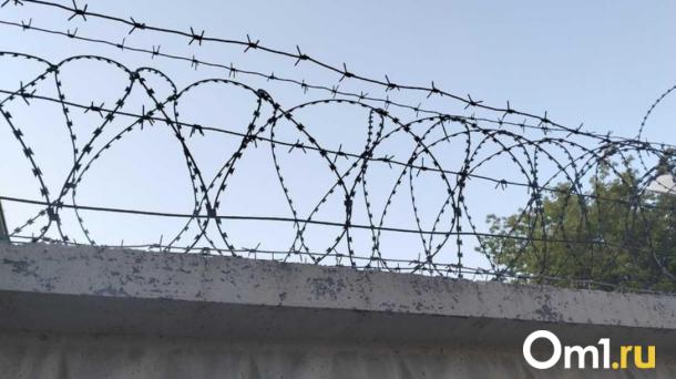 В Белове мужчина получил 13 лет за изнасилование 10-летней девочки