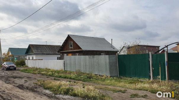 В Омской области введён карантин из-за вспышки бешенства