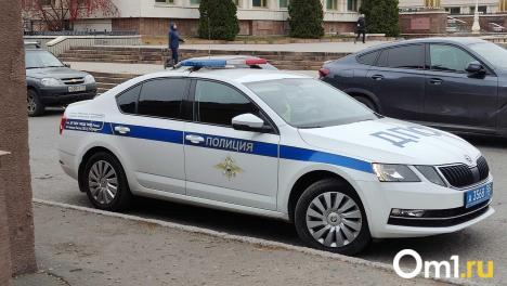 «Руки за спину!»: в Омске иностранец без прав пытался убежать от полицейских