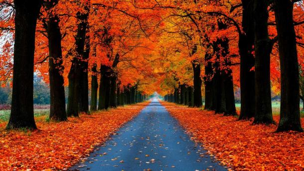 Хандра или болезнь: психолог объяснила разницу между осенней депрессией и плохим настроением