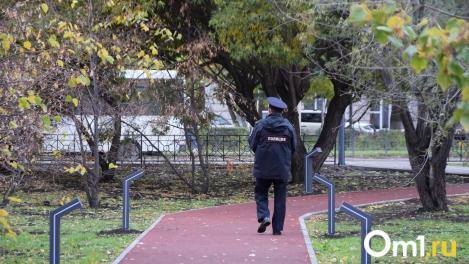 Власти объяснили омичам, почему не везде было слышно сирену