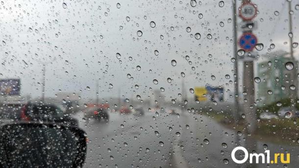 В Омске ожидаются снег и сильный ветер