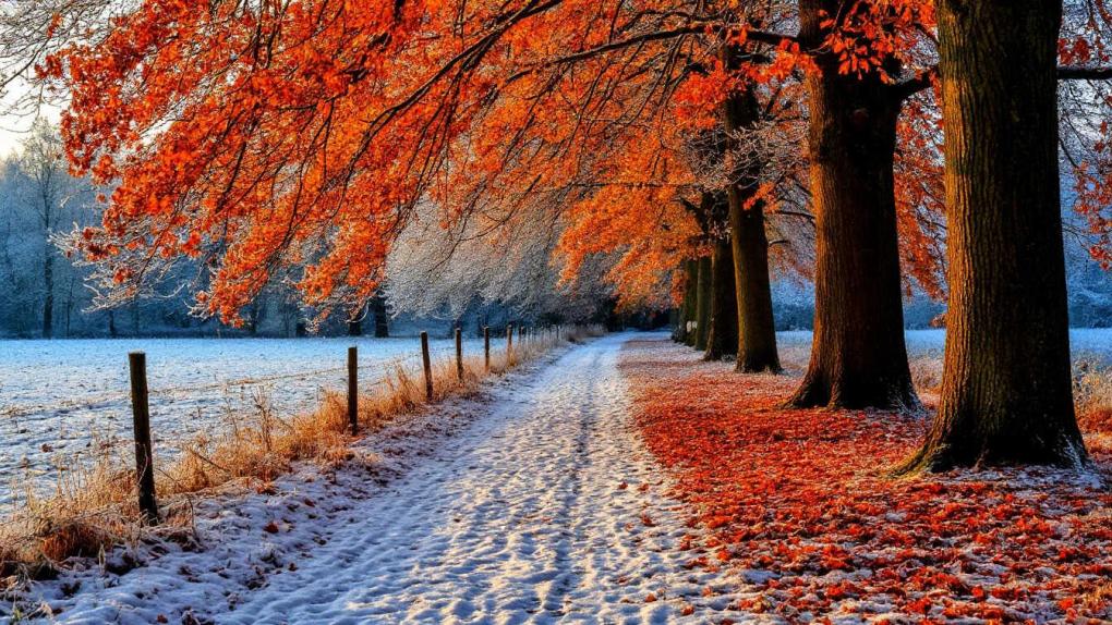 Адская погода накроет Новосибирск: ветер до 18 м/с и гололед