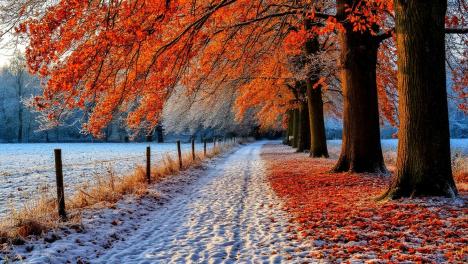 Адская погода накроет Новосибирск: ветер до 18 м/с и гололед