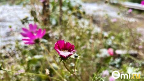 Доставайте зимние вещи: к Омску приближается арктический холод