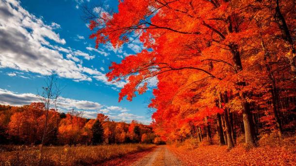 Москву ждет -4°C ночью и +12°C днем в начале октября