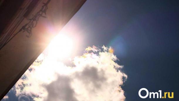 Омичам прогнозируют головные боли — на регион обрушилась ужасная напасть