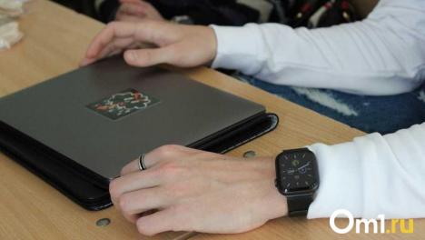 Омичи с начала года заказали товаров с Авито на 1,2 миллиарда