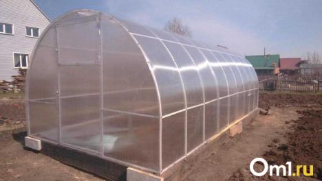 Роковая теплица: омский чиновник попался на необычной взятке