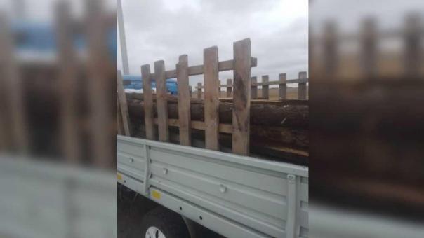 Из Омска пытались незаконно вывезти древесину