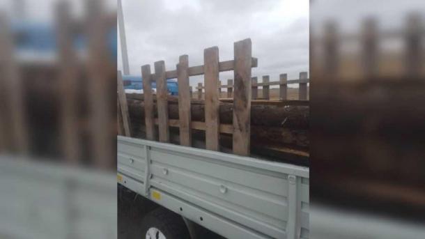 Из Омска пытались незаконно вывезти древесину
