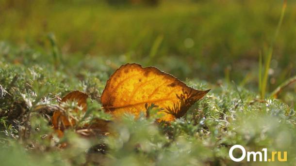 Резкое похолодание и сильный ветер накроют Омскую область к выходным