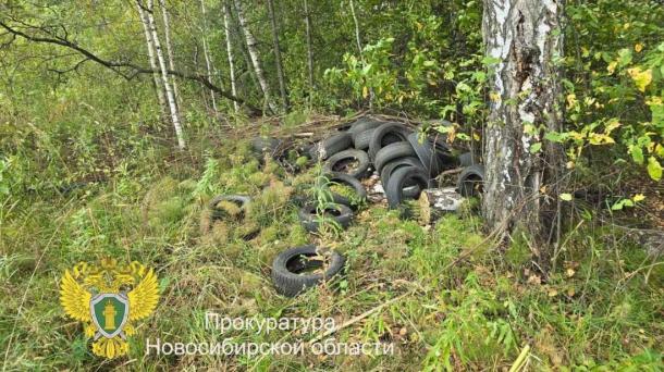 Прокуратура ликвидировала незаконную свалку в эндуро-парке Новосибирска