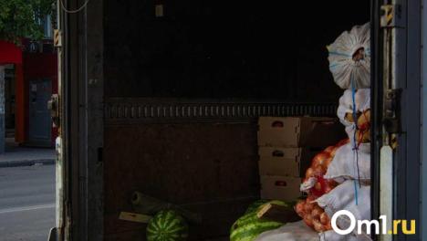 Более 270 тонн: на омской границе задержали продукцию с опасными веществами