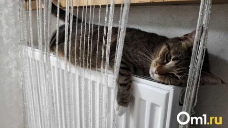 Власти дали прогноз, когда во всех квартирах в Омске станет тепло