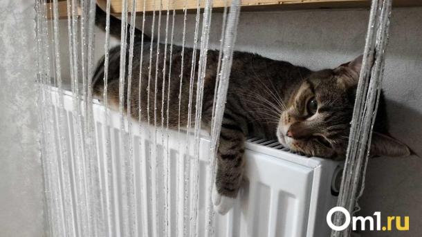 Власти дали прогноз, когда во всех квартирах в Омске станет тепло