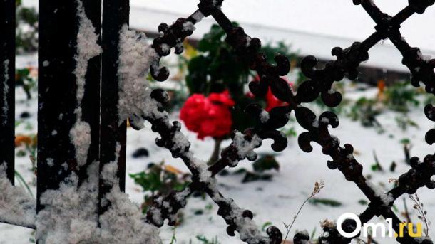 Погода в Омске сделает резкий разворот: чего ждать на следующей неделе?