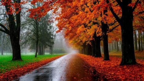 В Москве +15°C в октябре: синоптик объяснил аномалию