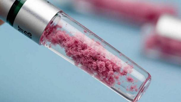 Вирусы против рака: новосибирские ученые на пороге прорыва